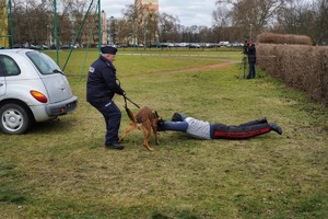 Policjant z psem podczas pokazów.