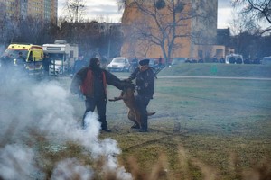 Policjant z psem podczas pokazów.