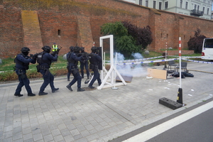 Festyn inaugurujący Wojewódzkie Obchody Święta Policji kujawsko-pomorskiego garnizonu w Toruniu. Policyjny pokaz