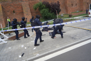Festyn inaugurujący Wojewódzkie Obchody Święta Policji kujawsko-pomorskiego garnizonu w Toruniu. Policyjny pokaz
