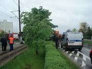 Wypadek 17 maj 2010 4