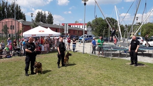 Policjanci i psy służbowe