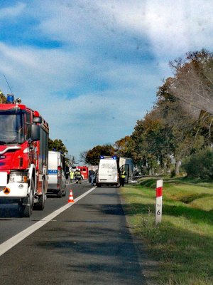 Zdjęcia ze śmiertelnego  wypadku w Ostaszewie pod Toruniem. NA zdjęciach pojazdy i funkcjonariusze  służby takich  jak policja straż pożarna, inspekcja transportu drogowego, holownik.