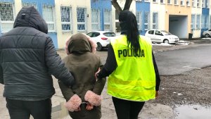 Policjantka w kamizelce odblaskowej z napisem policja wraz z policjantem służb kryminalnych, który na lewym ramieniu ma opaskę z napisem policja prowadzi zatrzymaną, oszustkę, która udawała policjantkę. Zatrzymana ubrana jest w kurtkę w kolorze khaki, czarne spodnie i czarne kozaki. Na głowie ma założony kaptur obszyty jasnoróżowym futerkiem . Zatrzymana dłoniach, które są z tyłu ma założone kajdanki. Funkcjonariusze przechodzą parkingiem znajdującym się na podwórku Komisariatu Policji Toruń Śródmieście.