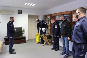 Policyjny pies Gabon z wizyta w gabinecie u komendanta Miejskiego Policji w Toruniu oraz  przed wejściem do budynku KMP  przy ul Grudziądzkiej ze swoim przewodnikiem.