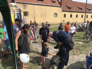 dzieci głaszczą psa policyjnego