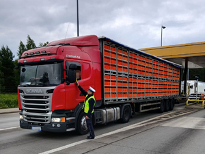Działania policjantów na autostradzie