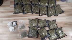 Fotografie przedstawiają susz roślinny koloru zielonego oraz częściowo zbryloną substancję koloru białego.