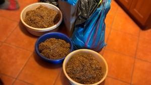 na zdjęciach znajduje się zabezpieczony tytoń oraz krajanka tytoniowa. Widać nieumundurowanego funkcjonariusza z opaską na ręku z napisem Policja