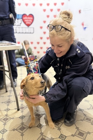 Na zdjęciach widzimy policjantów oraz wolontariuszy WOŚP.  Zdjęcia wykonane są na toruńskiej starówce oraz w Dowrze Artusa. Na zdjęciach widać policyjne radiowozy, umundurowanych policjantów.